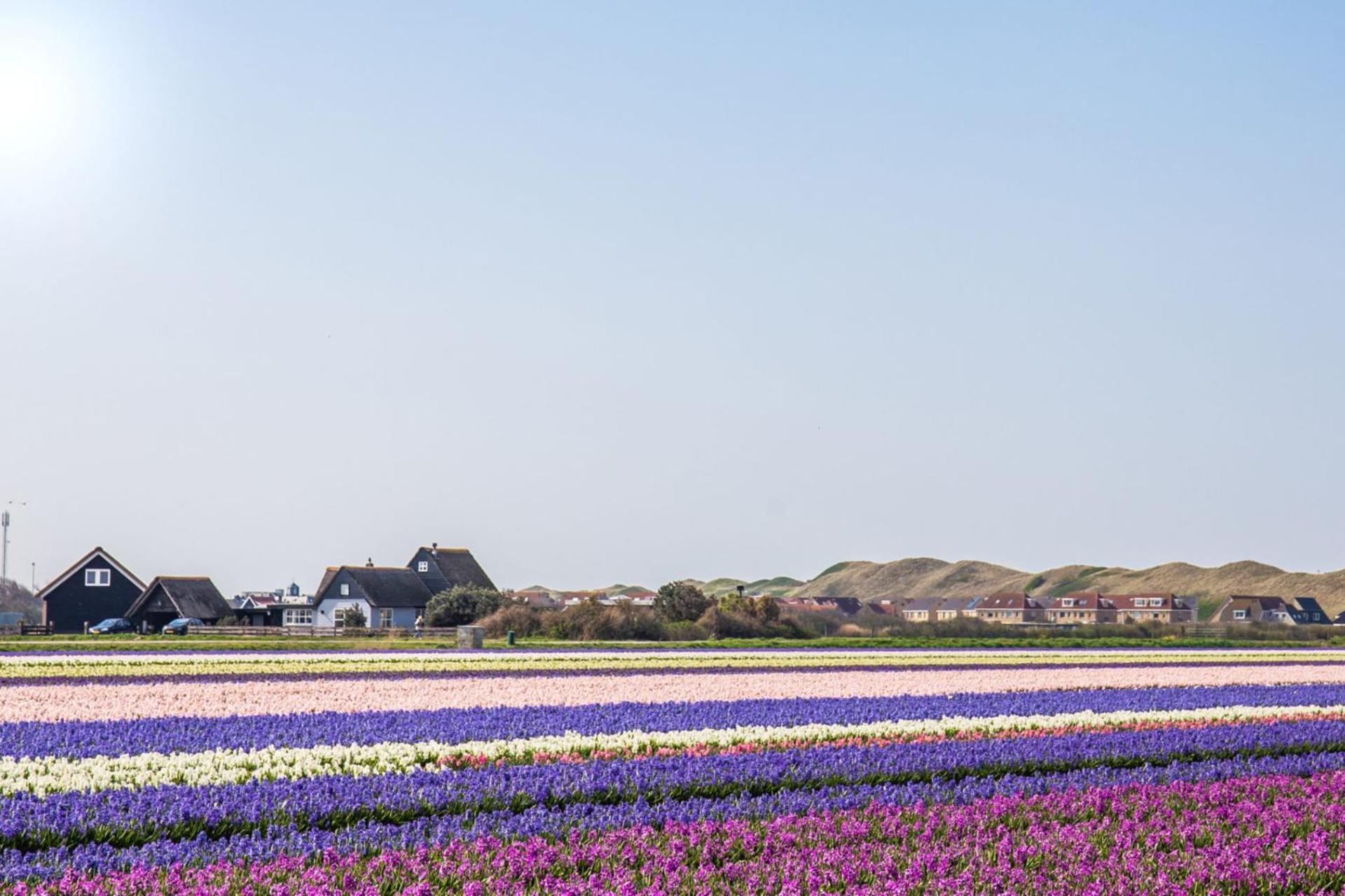 Beach Appartement 17 - Aan De Duinen, Callantsoog Aan Zee 외부 사진