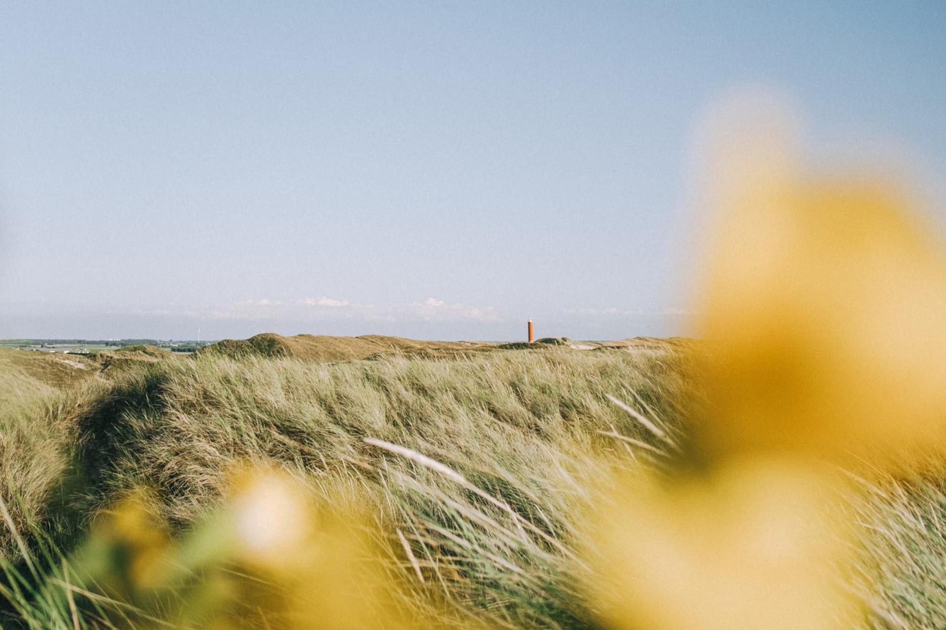 Beach Appartement 17 - Aan De Duinen, Callantsoog Aan Zee 외부 사진